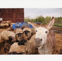 Image Omc 2021.002 (3)